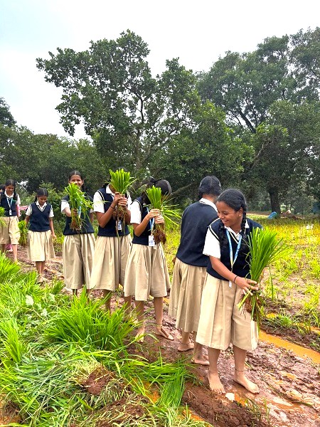 Field Visit